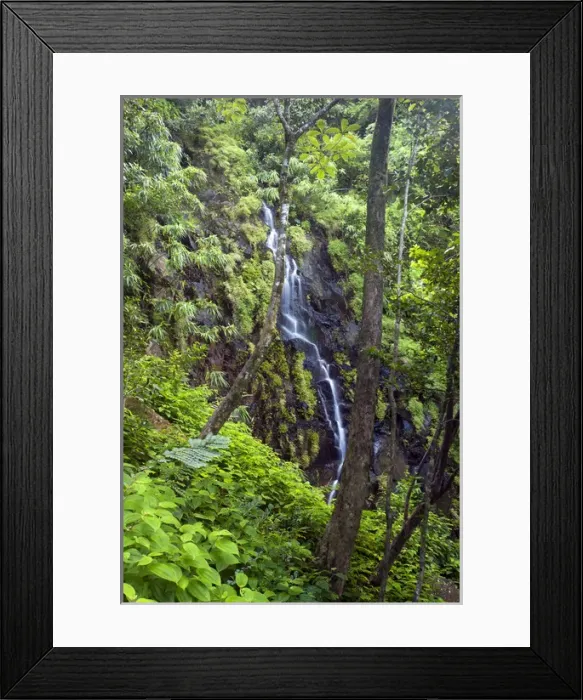 Framed Print : A waterfall in Ferney Forest Framed Print : A waterfall in Ferney Forest