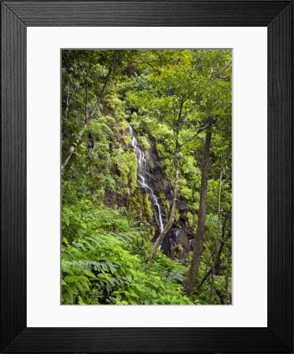 Framed Print : A waterfall in Ferney Forest Framed Print : A waterfall in Ferney Forest