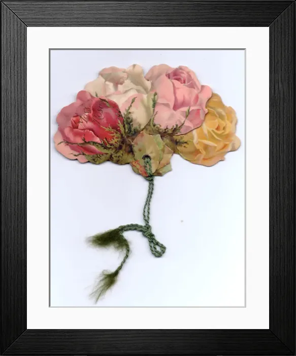 Framed Print : Greetings card, Moss Roses Framed Print : Greetings card, Moss Roses