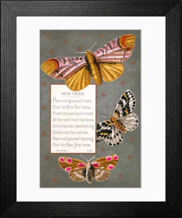 Framed Print : Three moths on a New Year card Framed Print : Three moths on a New Year card