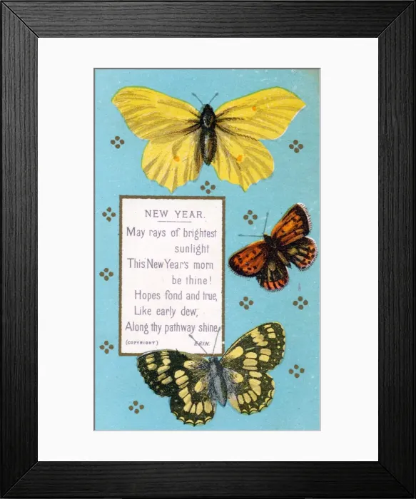 Framed Print : Three moths on a New Year card Framed Print : Three moths on a New Year card