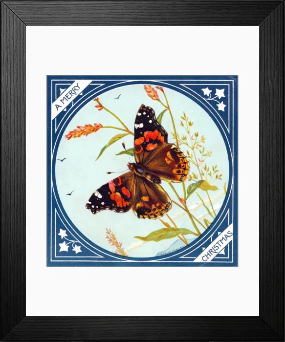 Framed Print : Butterfly on a Christmas card Framed Print : Butterfly on a Christmas card