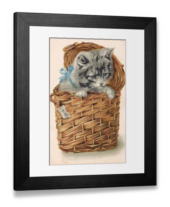 Framed Print : Kitten in a basket Framed Print : Kitten in a basket