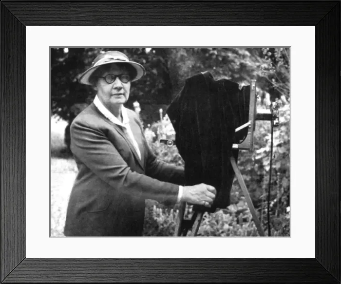 Framed Print : London Life Framed Print : London Life