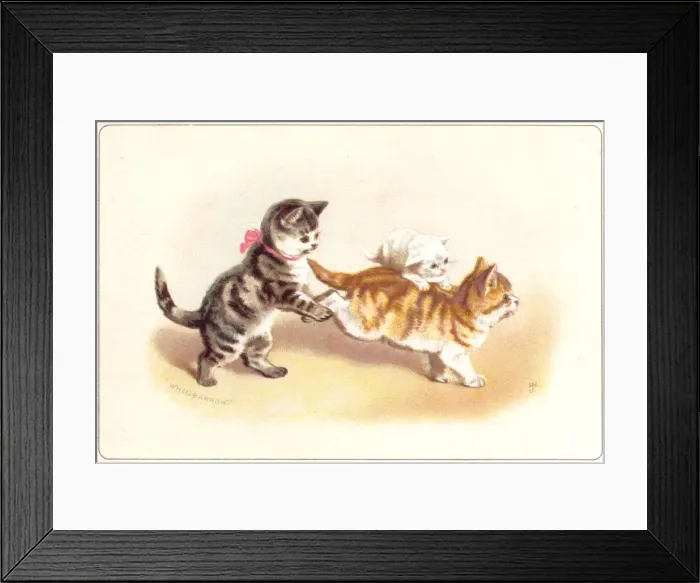 Framed Print : Three kittens playing wheelbarrow on a greetings card Framed Print : Three kittens playing wheelbarrow on a greetings card
