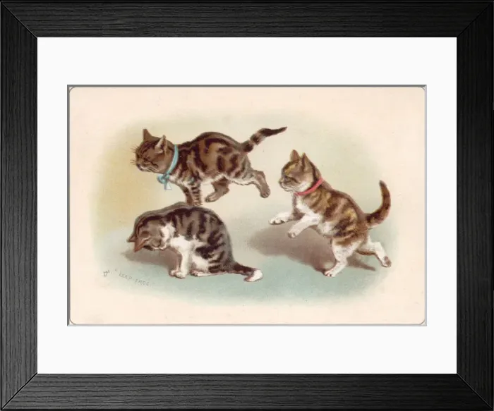 Framed Print : Three kittens playing leapfrog on a greetings card Framed Print : Three kittens playing leapfrog on a greetings card