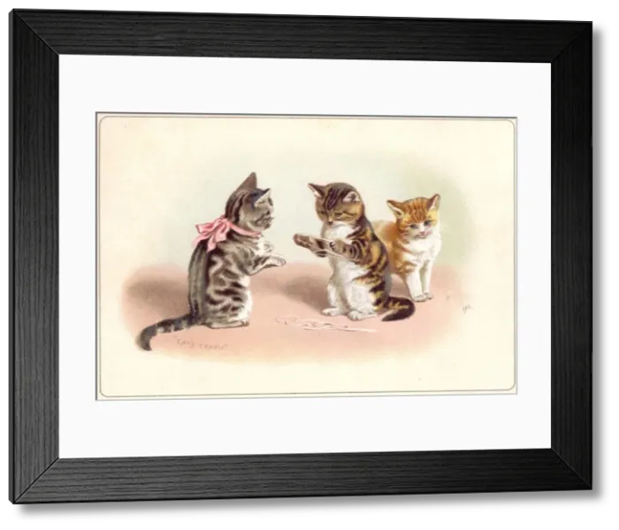 Framed Print : Three kittens playing cats cradle on a greetings card Framed Print : Three kittens playing cats cradle on a greetings card
