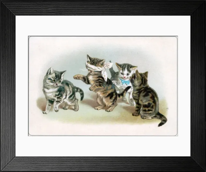 Framed Print : Four kittens playing blind mans bluff on a greetings card Framed Print : Four kittens playing blind mans bluff on a greetings card