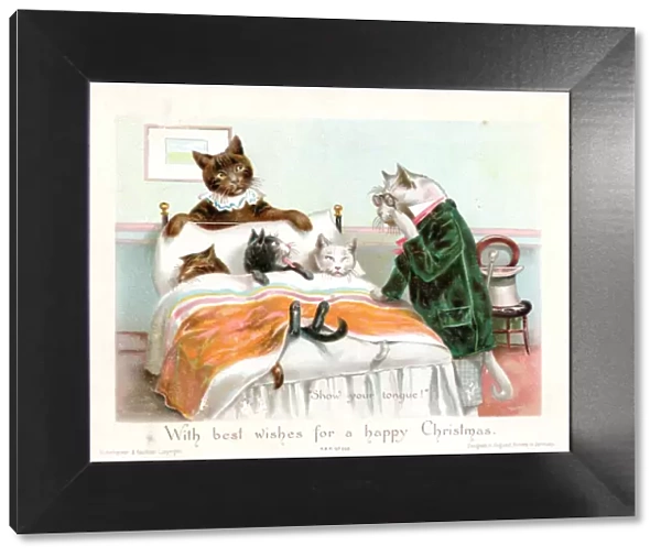 Five humanised cats on a Christmas card