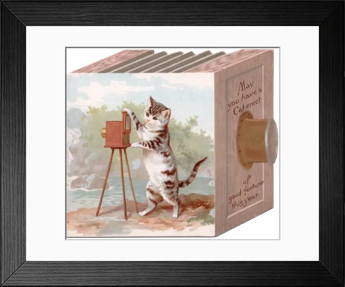 Framed Print : Cat with a camera on a New Year card Framed Print : Cat with a camera on a New Year card