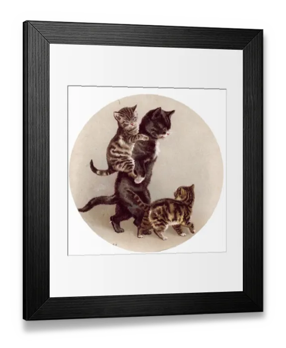 Framed Print : Cat and two kittens on a greetings card Framed Print : Cat and two kittens on a greetings card