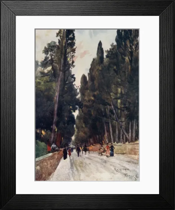 Framed Print : Looking down Cypress Avenue of Poggio Imperiale, Florence Framed Print : Looking down Cypress Avenue of Poggio Imperiale, Florence