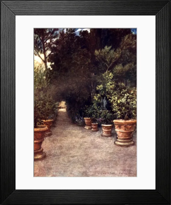 Framed Print : The Ilex Walk, Villa dell Ombrellino San Domenico, Italy Framed Print : The Ilex Walk, Villa dell Ombrellino San Domenico, Italy