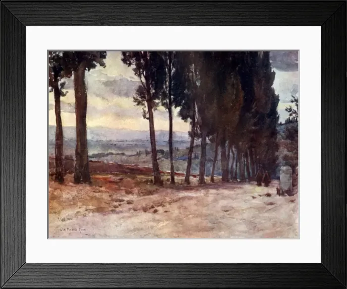 Framed Print : Cypress Avenue on the old road to Fiesole, Italy Framed Print : Cypress Avenue on the old road to Fiesole, Italy