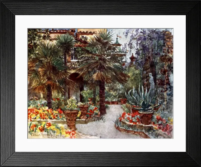 Framed Print : Tulips and Wistaria in the garden of a Florentine Villa Framed Print : Tulips and Wistaria in the garden of a Florentine Villa