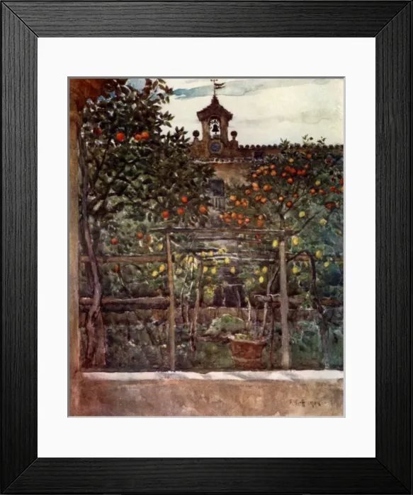 Framed Print : Study of Orange and Lemon Trees in an Ancient Convent Garden Framed Print : Study of Orange and Lemon Trees in an Ancient Convent Garden