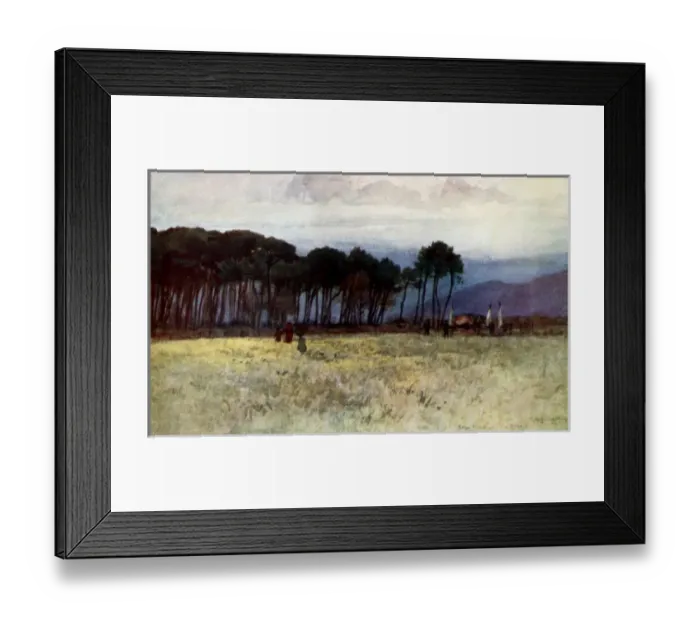 Framed Print : Pine Woods and Carrara Mountains at Viareggio, Italy Framed Print : Pine Woods and Carrara Mountains at Viareggio, Italy