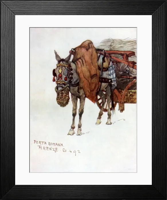 Framed Print : Study of a mule with decorated harness and rope nose-bag Framed Print : Study of a mule with decorated harness and rope nose-bag