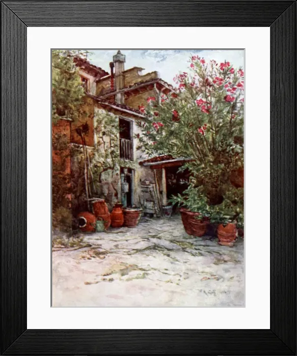 Framed Print : Oleanders in bloom in June on a Tuscan Farm, Italy Framed Print : Oleanders in bloom in June on a Tuscan Farm, Italy
