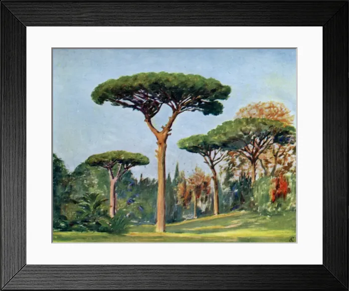 Framed Print : Rock pines in the grounds of the Villa Floridiana, Naples Framed Print : Rock pines in the grounds of the Villa Floridiana, Naples