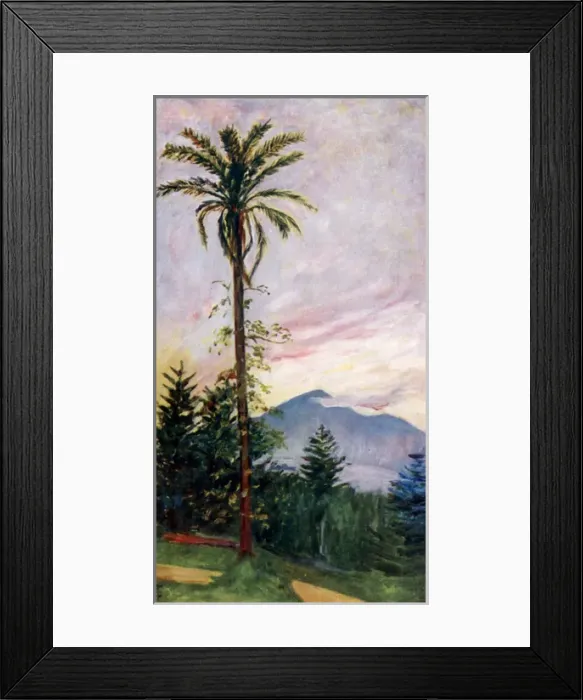 Framed Print : The grounds of the Villa Antonietta, Quisisana Framed Print : The grounds of the Villa Antonietta, Quisisana