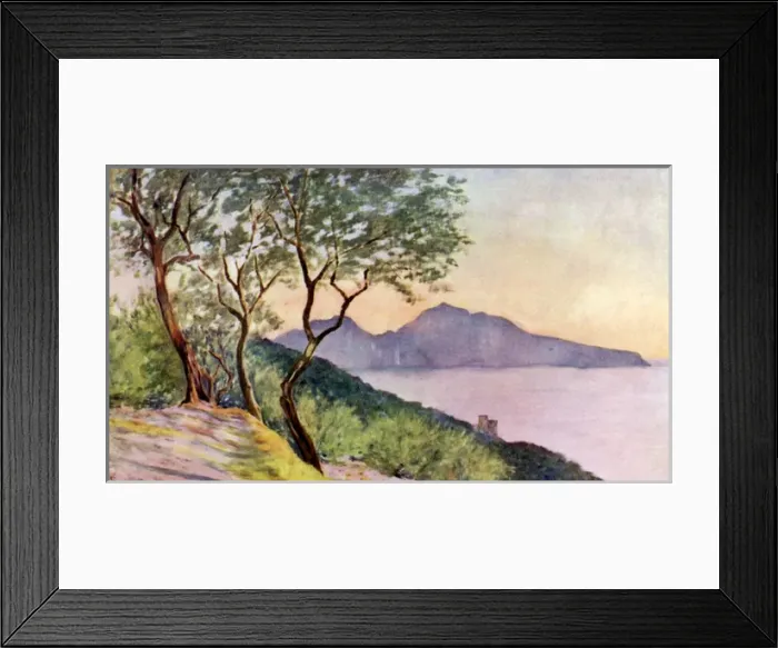 Framed Print : Picture No. 10989065 Framed Print : Picture No. 10989065