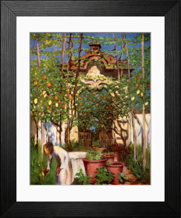 Framed Print : Picture No. 10989064 Framed Print : Picture No. 10989064