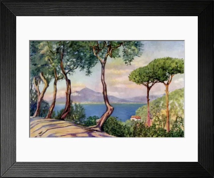 Framed Print : Picture No. 10989070 Framed Print : Picture No. 10989070