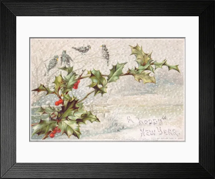 Framed Print : Birds and holly in the snow on a New Year card Framed Print : Birds and holly in the snow on a New Year card