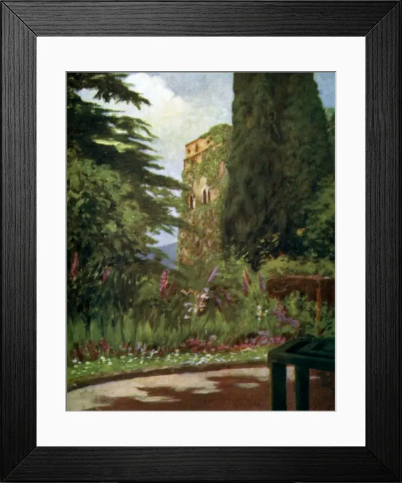 Framed Print : Picture No. 10989081 Framed Print : Picture No. 10989081