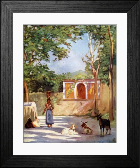 Framed Print : Picture No. 10989087 Framed Print : Picture No. 10989087
