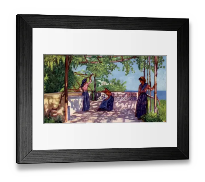 Framed Print : Picture No. 10989094 Framed Print : Picture No. 10989094