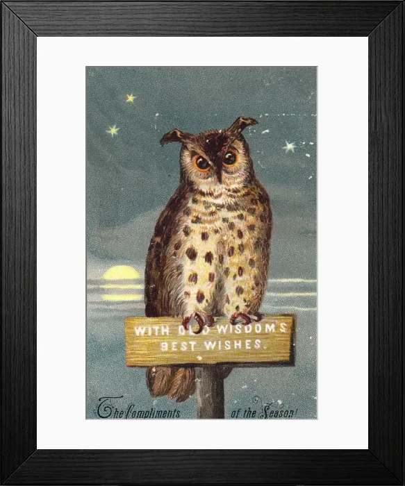 Framed Print : Owl on a Christmas card Framed Print : Owl on a Christmas card