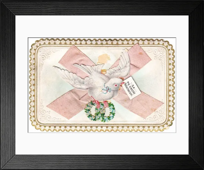 Framed Print : White dove on an Italian greetings card Framed Print : White dove on an Italian greetings card