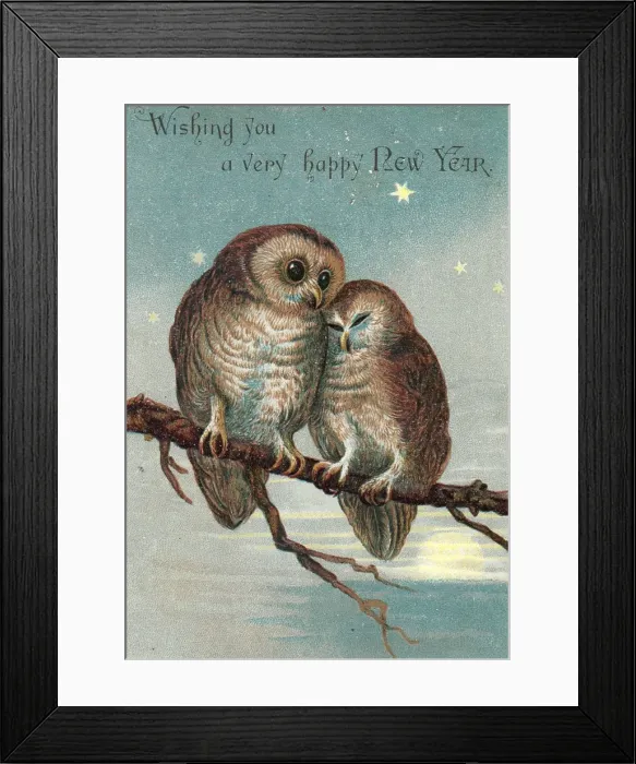 Framed Print : Two owls on a New Year card Framed Print : Two owls on a New Year card