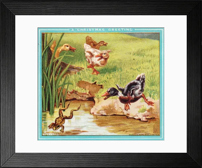 Framed Print : Ducks and a frog on a Christmas card Framed Print : Ducks and a frog on a Christmas card