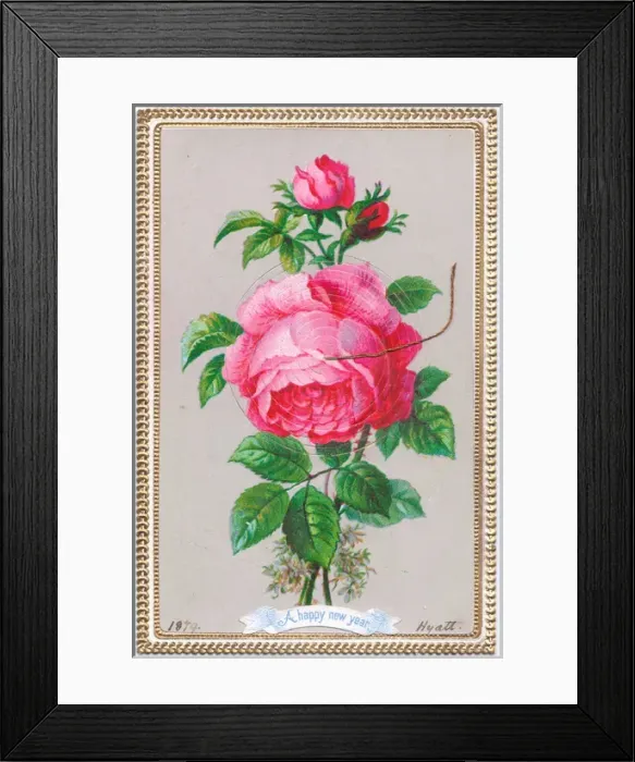 Framed Print : Pink rose on a New Year card Framed Print : Pink rose on a New Year card