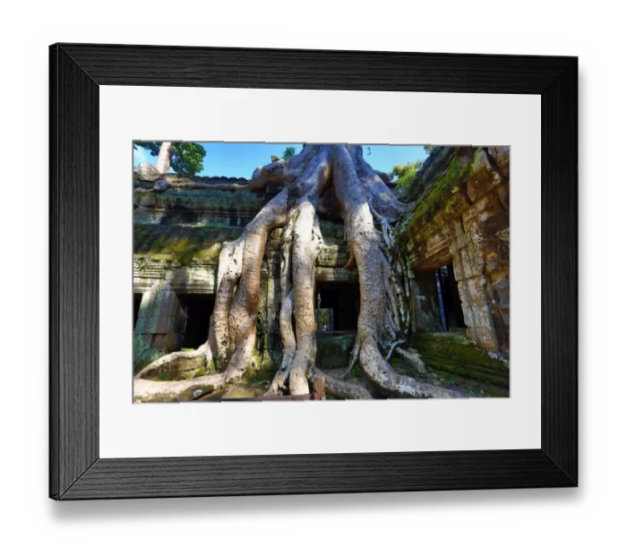 Framed Print : Ta Phrom, Khmer Temple in Angkor, Siem Reap, Cambodia Framed Print : Ta Phrom, Khmer Temple in Angkor, Siem Reap, Cambodia