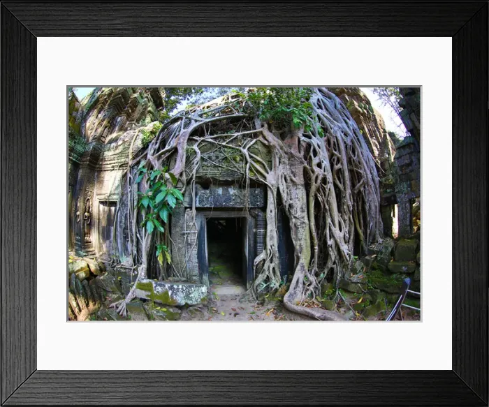 Framed Print : Ta Phrom, Khmer Temple in Angkor, Siem Reap, Cambodia Framed Print : Ta Phrom, Khmer Temple in Angkor, Siem Reap, Cambodia
