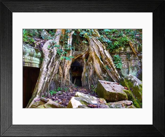 Framed Print : Ta Phrom, Khmer Temple in Angkor, Siem Reap, Cambodia Framed Print : Ta Phrom, Khmer Temple in Angkor, Siem Reap, Cambodia