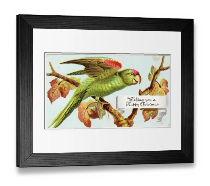 Framed Print : Green parrot on a Christmas card Framed Print : Green parrot on a Christmas card