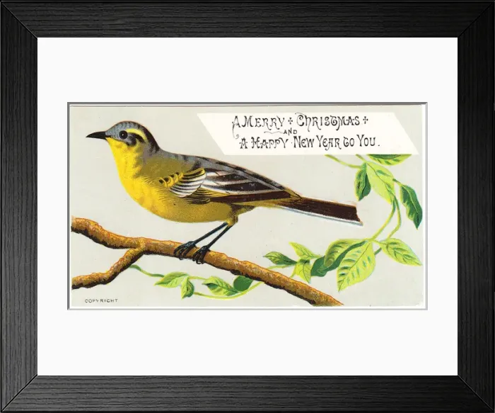 Framed Print : Yellow bird on a Christmas card Framed Print : Yellow bird on a Christmas card