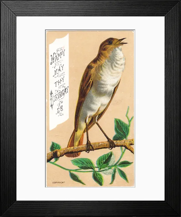 Framed Print : Singing bird on a birthday card Framed Print : Singing bird on a birthday card