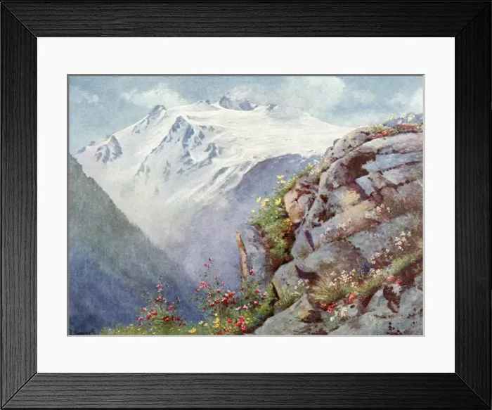 Framed Print : Natural Garden in the Alps, Italy Framed Print : Natural Garden in the Alps, Italy