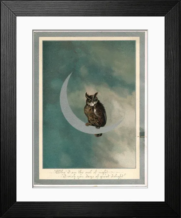 Framed Print : Owl on a crescent moon on a greetings card Framed Print : Owl on a crescent moon on a greetings card