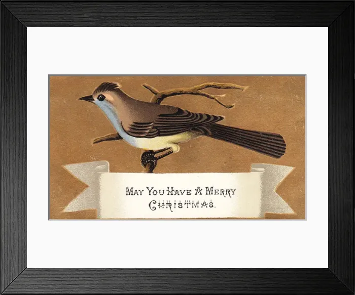 Framed Print : Brown and white bird on a Christmas card Framed Print : Brown and white bird on a Christmas card
