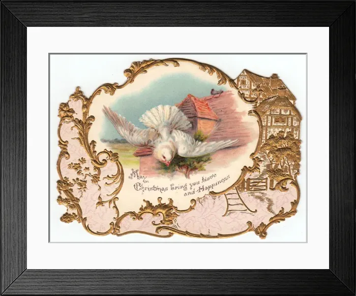 Framed Print : White dove on a Christmas card Framed Print : White dove on a Christmas card