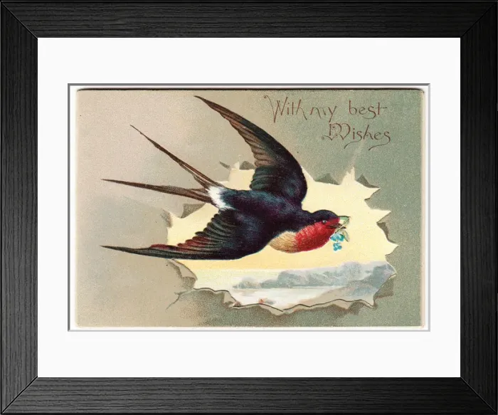 Framed Print : Flying swallow on a greetings card Framed Print : Flying swallow on a greetings card