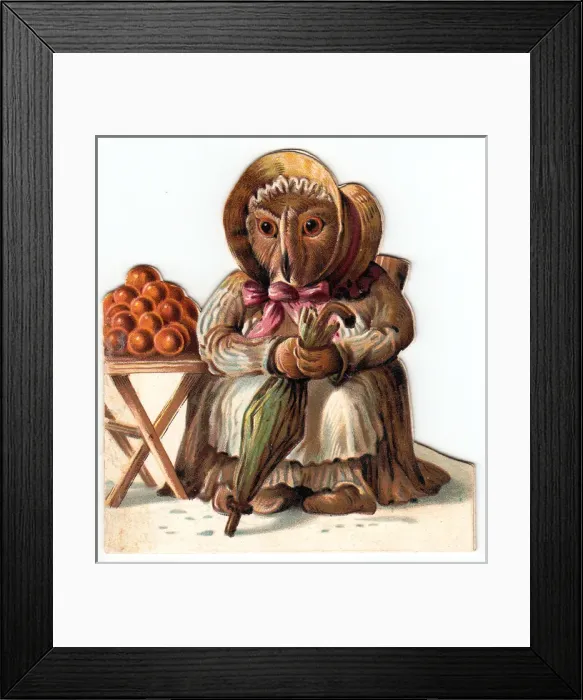 Framed Print : Humanised owl on a greetings card Framed Print : Humanised owl on a greetings card