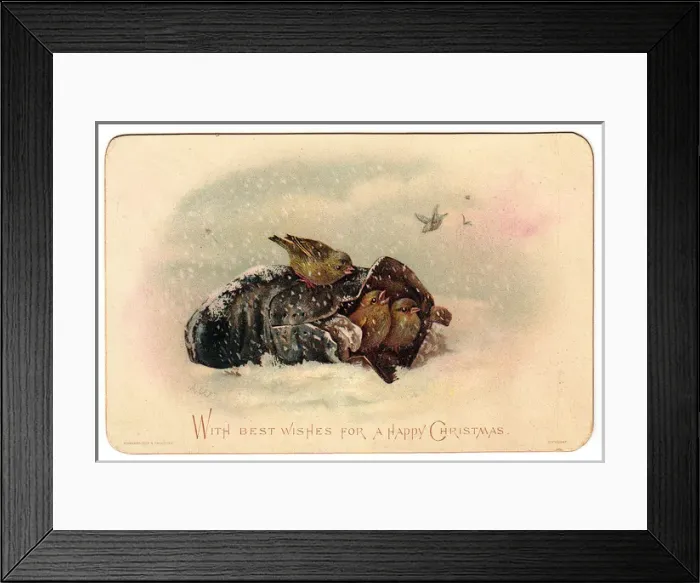Framed Print : Birds in a shoe on a Christmas card Framed Print : Birds in a shoe on a Christmas card